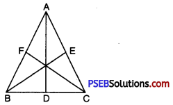 PSEB 7th Class Maths Solutions Chapter 6 Triangles Ex 6.1 2
