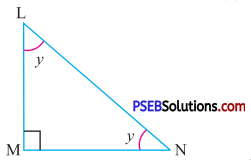 PSEB 7th Class Maths Solutions Chapter 6 Triangles Ex 6.2 10