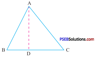 PSEB 7th Class Maths Solutions Chapter 6 Triangles Ex 6.4 3