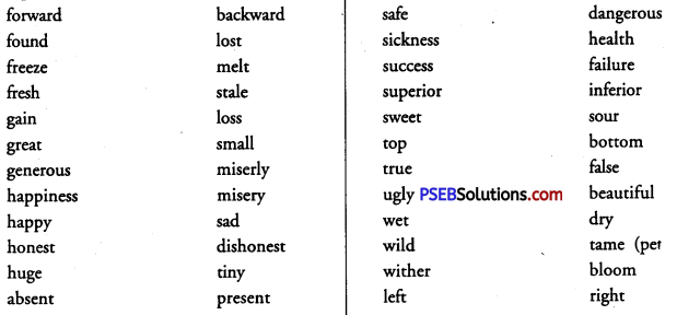 PSEB 9th Class English Vocabulary Antonyms 2