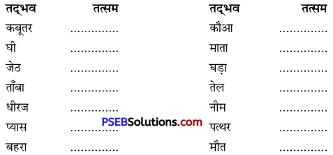 PSEB 9th Class Hindi Vyakaran तत्सम-तद्भव 1