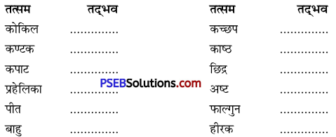 PSEB 9th Class Hindi Vyakaran तत्सम-तद्भव 3
