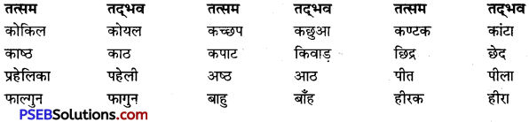 PSEB 9th Class Hindi Vyakaran तत्सम-तद्भव 4
