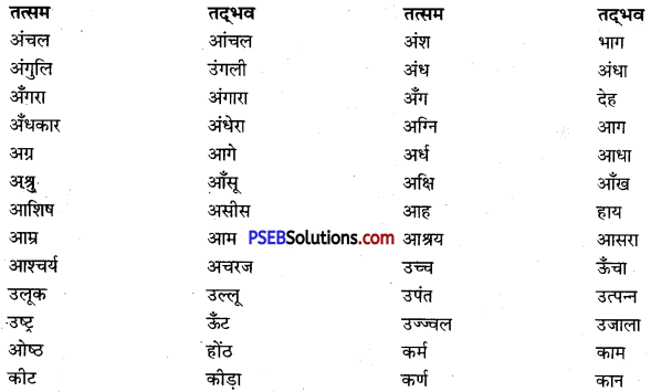 PSEB 9th Class Hindi Vyakaran तत्सम-तद्भव 5