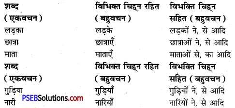 PSEB 9th Class Hindi Vyakaran वचन 12