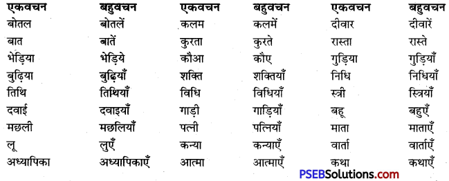PSEB 9th Class Hindi Vyakaran वचन 2