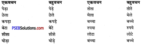 PSEB 9th Class Hindi Vyakaran वचन 4