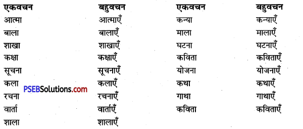 PSEB 9th Class Hindi Vyakaran वचन 5