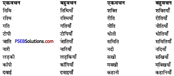 PSEB 9th Class Hindi Vyakaran वचन 7