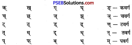PSEB 9th Class Hindi Vyakaran वर्ण 2