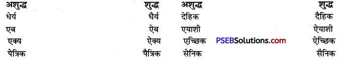 PSEB 9th Class Hindi Vyakaran वर्तनी 11