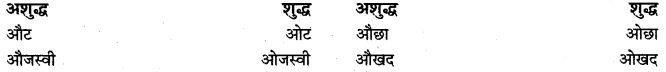 PSEB 9th Class Hindi Vyakaran वर्तनी 12