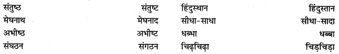 PSEB 9th Class Hindi Vyakaran वर्तनी 18