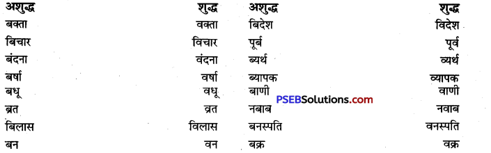 PSEB 9th Class Hindi Vyakaran वर्तनी 20