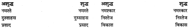 PSEB 9th Class Hindi Vyakaran वर्तनी 23
