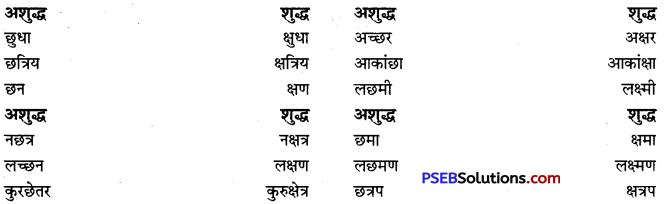 PSEB 9th Class Hindi Vyakaran वर्तनी 28