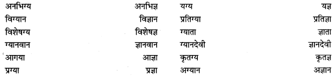 PSEB 9th Class Hindi Vyakaran वर्तनी 29