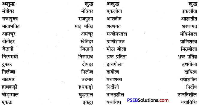PSEB 9th Class Hindi Vyakaran वर्तनी 40