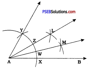 PSEB 9th Class Maths Solutions Chapter 11 Constructions Ex 11.1 5