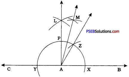 PSEB 9th Class Maths Solutions Chapter 11 Constructions Ex 11.1 6