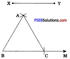 PSEB 9th Class Maths Solutions Chapter 11 Constructions Ex 11.1 8