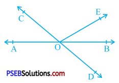PSEB 9th Class Maths Solutions Chapter 6 Lines and Angles Ex 6.1 1
