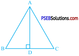 PSEB 9th Class Maths Solutions Chapter 7 Triangles Ex 7.2 2