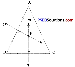 PSEB 9th Class Maths Solutions Chapter 7 Triangles Ex 7.5 1
