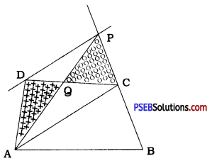 PSEB 9th Class Maths Solutions Chapter 9 Areas of Parallelograms and Triangles Ex 9.3 13