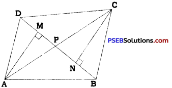 PSEB 9th Class Maths Solutions Chapter 9 Areas of Parallelograms and Triangles Ex 9.4 6