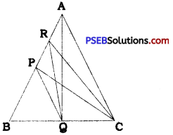 PSEB 9th Class Maths Solutions Chapter 9 Areas of Parallelograms and Triangles Ex 9.4 7