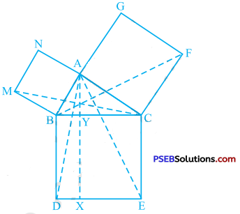 PSEB 9th Class Maths Solutions Chapter 9 Areas of Parallelograms and Triangles Ex 9.4 8