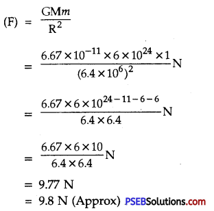 PSEB 9th Class Science Solutions Chapter 10 Gravitation 2