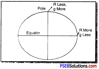 PSEB 9th Class Science Solutions Chapter 10 Gravitation 5