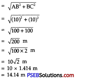 PSEB 9th Class Science Solutions Chapter 8 Motion 17
