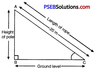 PSEB 10th Class Maths Solutions Chapter 9 Some Applications of Trigonometry Ex 9.1 2