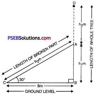 PSEB 10th Class Maths Solutions Chapter 9 Some Applications of Trigonometry Ex 9.1 3