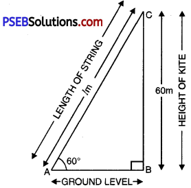 PSEB 10th Class Maths Solutions Chapter 9 Some Applications of Trigonometry Ex 9.1 7