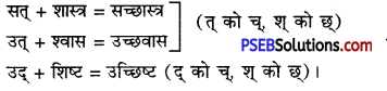 PSEB 11th Class Hindi व्याकरण सन्धि और सन्धिच्छेद Img 2