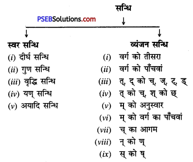 PSEB 11th Class Hindi व्याकरण सन्धि और सन्धिच्छेद Img 3