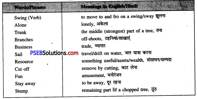 PSEB 6th Class English Solutions Chapter 3 The Giving Tree 3