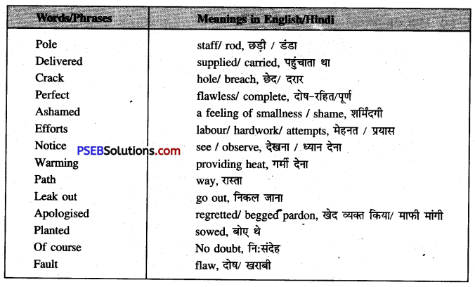 PSEB 6th Class English Solutions Chapter 7 The Cracked Pot 3