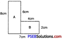 PSEB 6th Class Maths Solutions Chapter 12 Perimeter and Area Ex 12.2 5