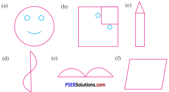 PSEB 6th Class Maths Solutions Chapter 13 Symmetry Ex 13.1 1