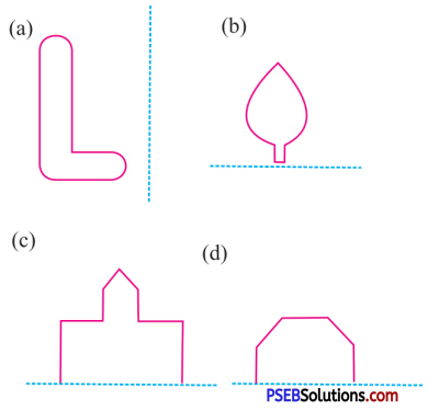 PSEB 6th Class Maths Solutions Chapter 13 Symmetry Ex 13.2 1