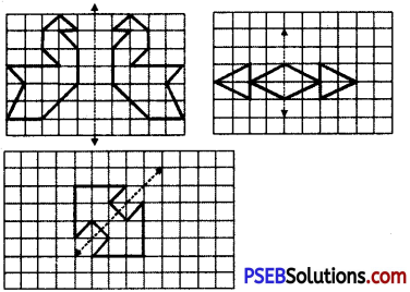 PSEB 6th Class Maths Solutions Chapter 13 Symmetry Ex 13.2 5.1