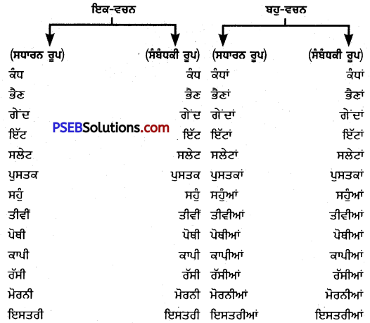 PSEB 6th Class Punjabi Vyakaran ਵਚਨ 3