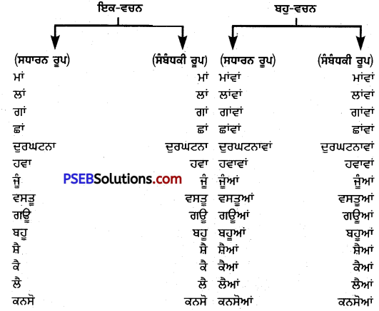 PSEB 6th Class Punjabi Vyakaran ਵਚਨ 4