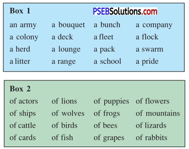 PSEB 7th Class English Solutions Chapter 1 Rent for Water 5
