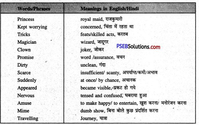 PSEB 7th Class English Solutions Chapter 5 The Princess Who Never Smiled 7